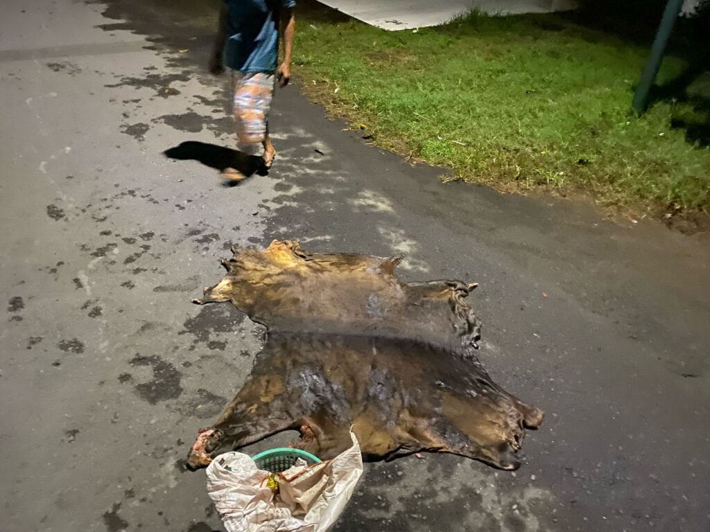 Batang bukti ditemukan Polisi berupa daging sapi 