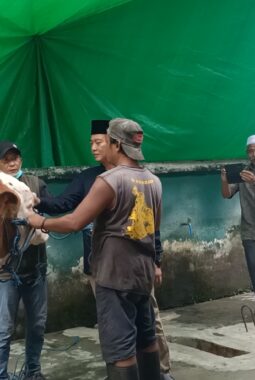 berita-rekomendasi-foto