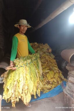 berita-rekomendasi-foto