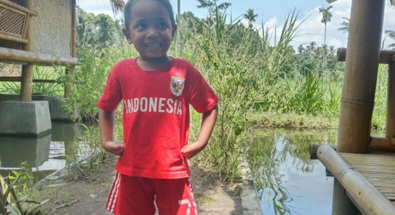 foto slider headline